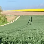 Aux Chants Des Oiseaux Domaine De La Renardière Les Grandes-Loges