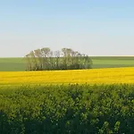 Aux Chants Des Oiseaux Domaine De La Renardière *