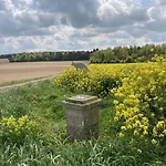 Aux Chants Des Oiseaux Domaine De La Renardière Les Grandes-Loges