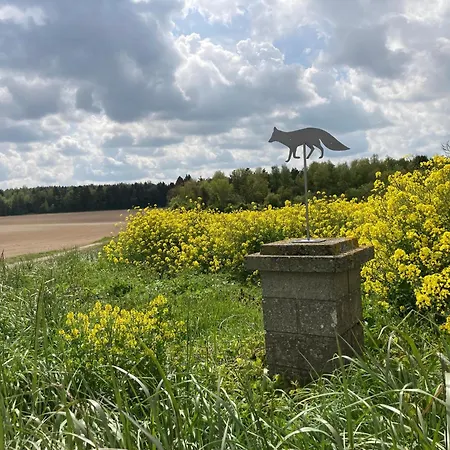 Деревянный коттедж Domaine De La Renardiere - Et D'hotes A La Veuve *