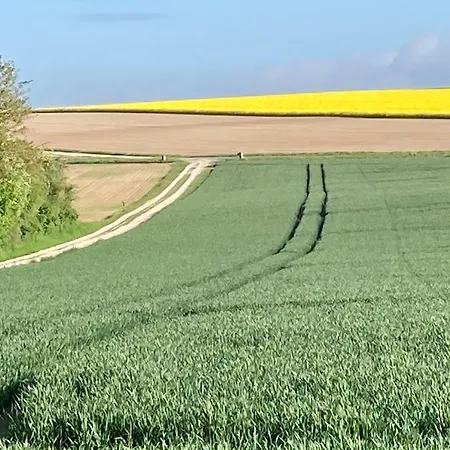 Domaine De La Renardiere - Et D'hotes A La Veuve Les Grandes-Loges