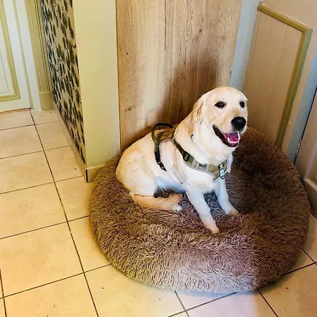 Domaine De La Renardiere - Et D'hotes A La Veuve Les Grandes-Loges