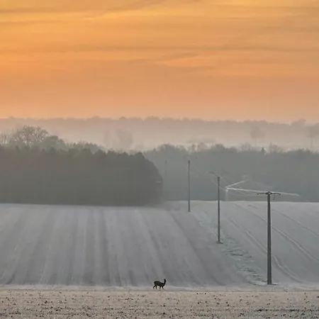 Jaktstuga Domaine De La Renardiere - Et D'hotes A La Veuve Les Grandes-Loges