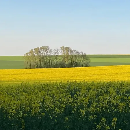 Domaine De La Renardiere - Et D'hotes A La Veuve *