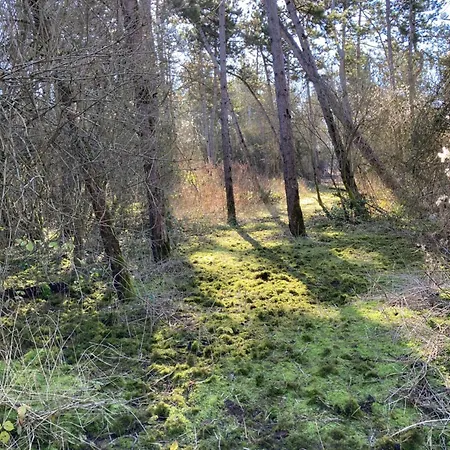 Domaine De La Renardiere - Et D'hotes A La Veuve Jaktstuga *