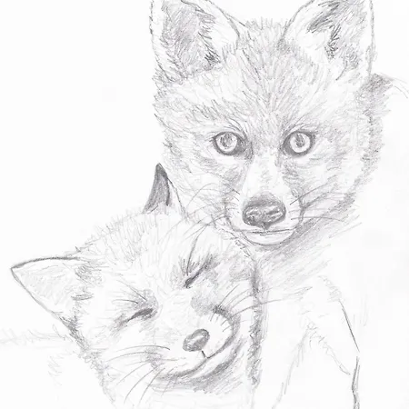 Jaktstuga Domaine De La Renardiere - Et D'hotes A La Veuve *