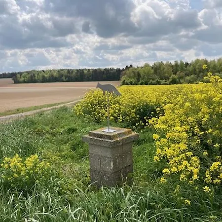 Aux Chants Des Oiseaux Domaine De La Renardière Les Grandes-Loges