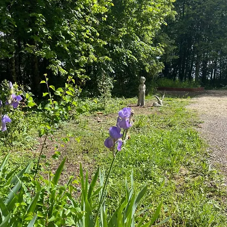 Aux Chants Des Oiseaux Domaine De La Renardière