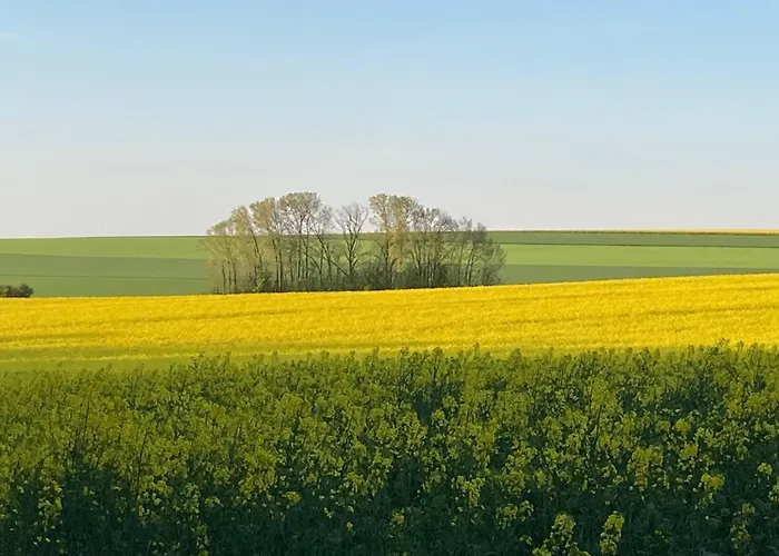 Domaine De La Renardiere - Et D'hotes A La Veuve *
