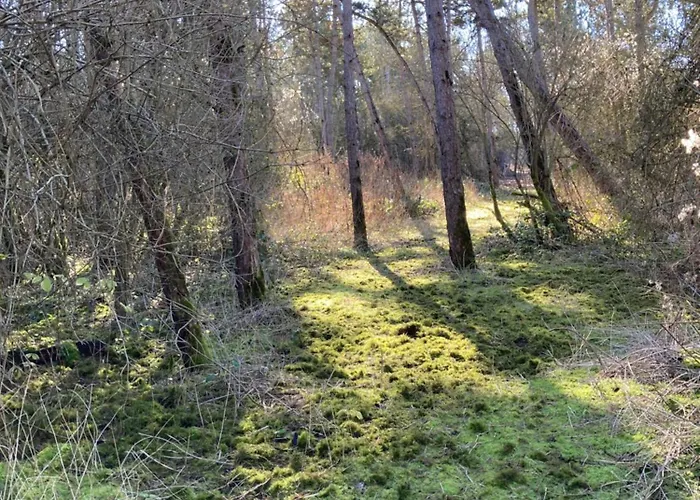 Domaine De La Renardiere - Et D'hotes A La Veuve Lodge *