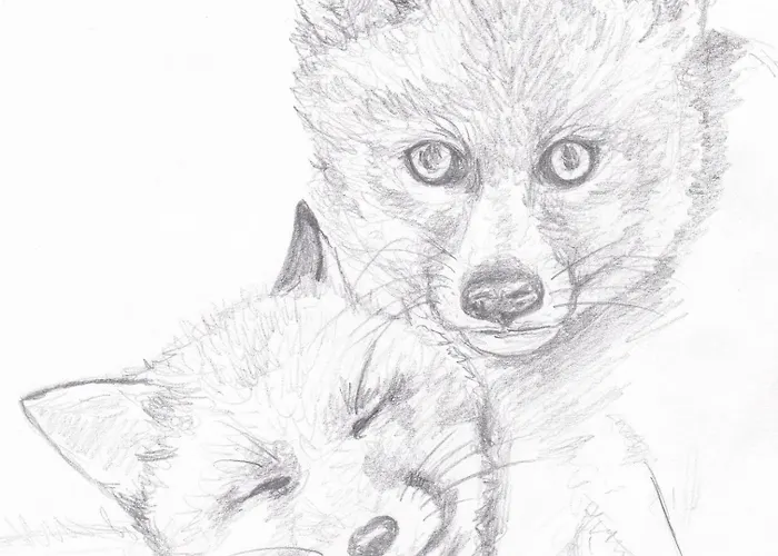 Lodge Domaine De La Renardiere - Et D'hotes A La Veuve *