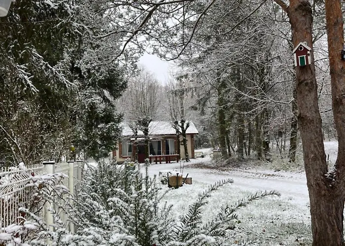 Domaine De La Renardiere - Et D'hotes A La Veuve Lodge Les Grandes-Loges