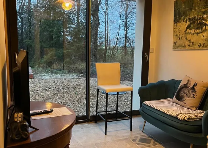 Domaine De La Renardiere - Et D'hotes A La Veuve *